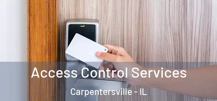 Access Control Services Carpentersville - IL