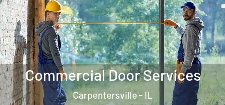 Commercial Door Services Carpentersville - IL