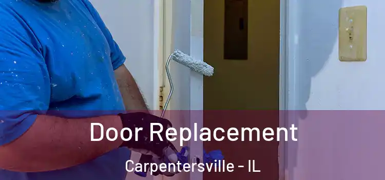 Door Replacement Carpentersville - IL