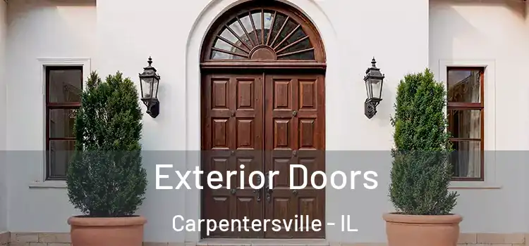 Exterior Doors Carpentersville - IL