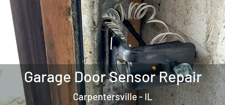 Garage Door Sensor Repair Carpentersville - IL