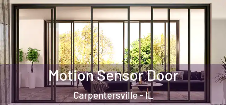 Motion Sensor Door Carpentersville - IL