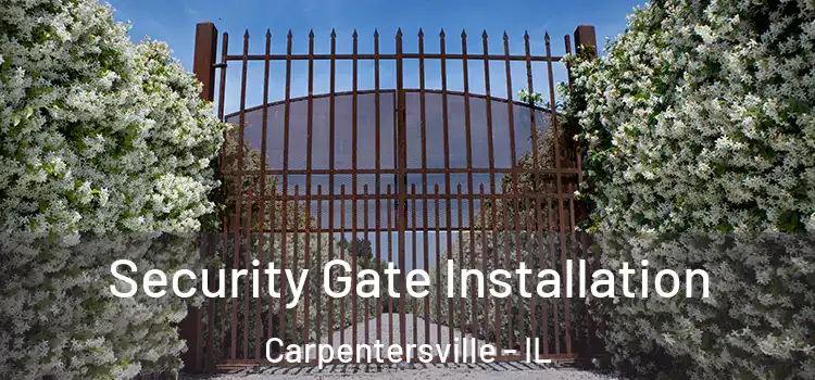 Security Gate Installation Carpentersville - IL