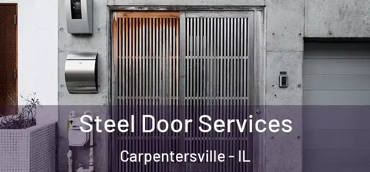 Steel Door Services Carpentersville - IL